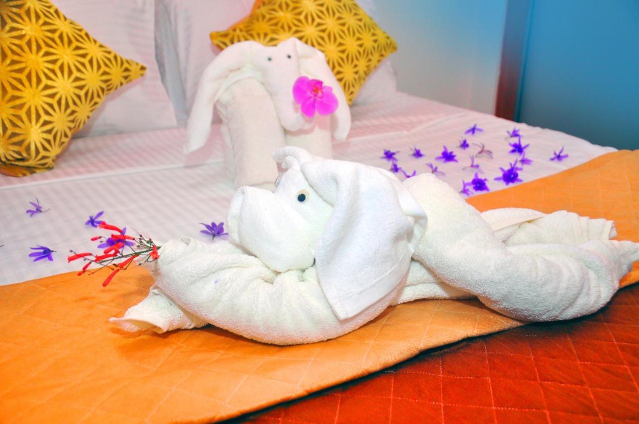Hotel Senero House Bentota Zewnętrze zdjęcie