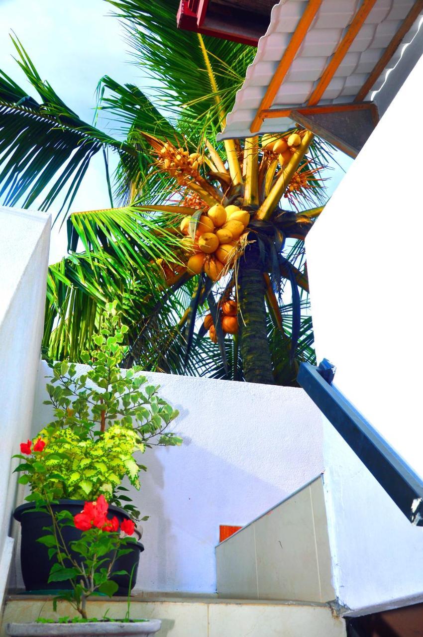 Hotel Senero House Bentota Zewnętrze zdjęcie